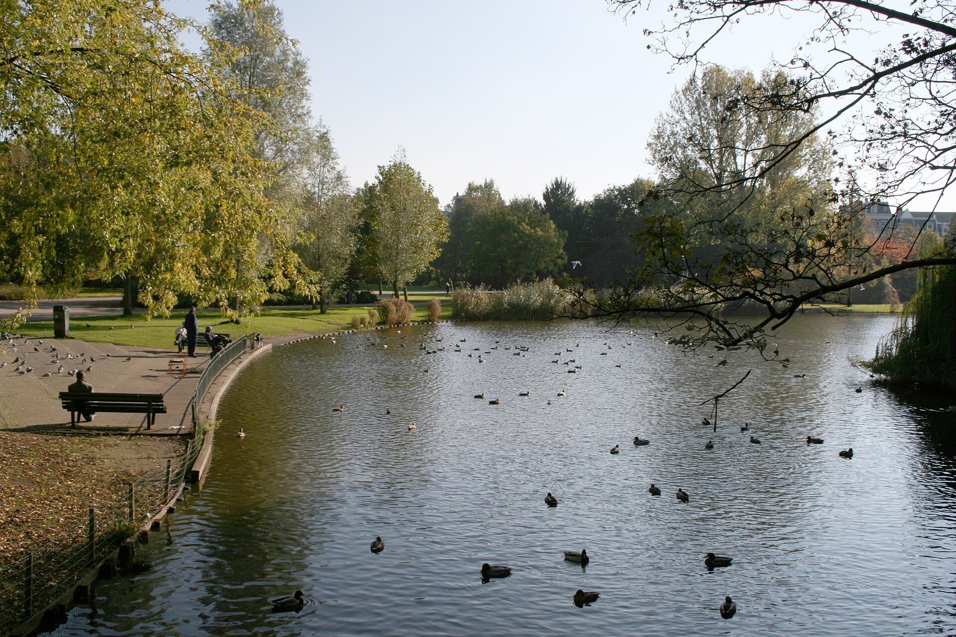 Amsterdam's Best Parks Beyond Vondelpark: A Local's Picks