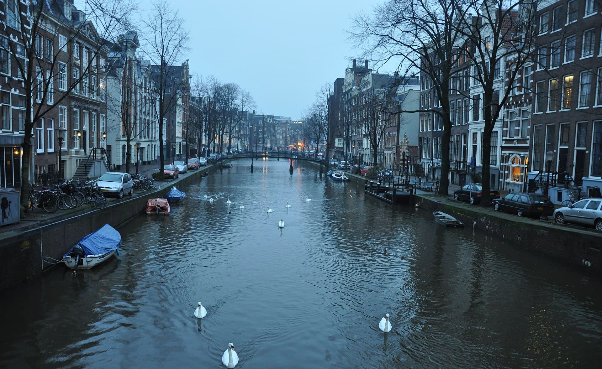 Where to Stay in Amsterdam for a First-Time Visit: Honest Neighbourhood Picks