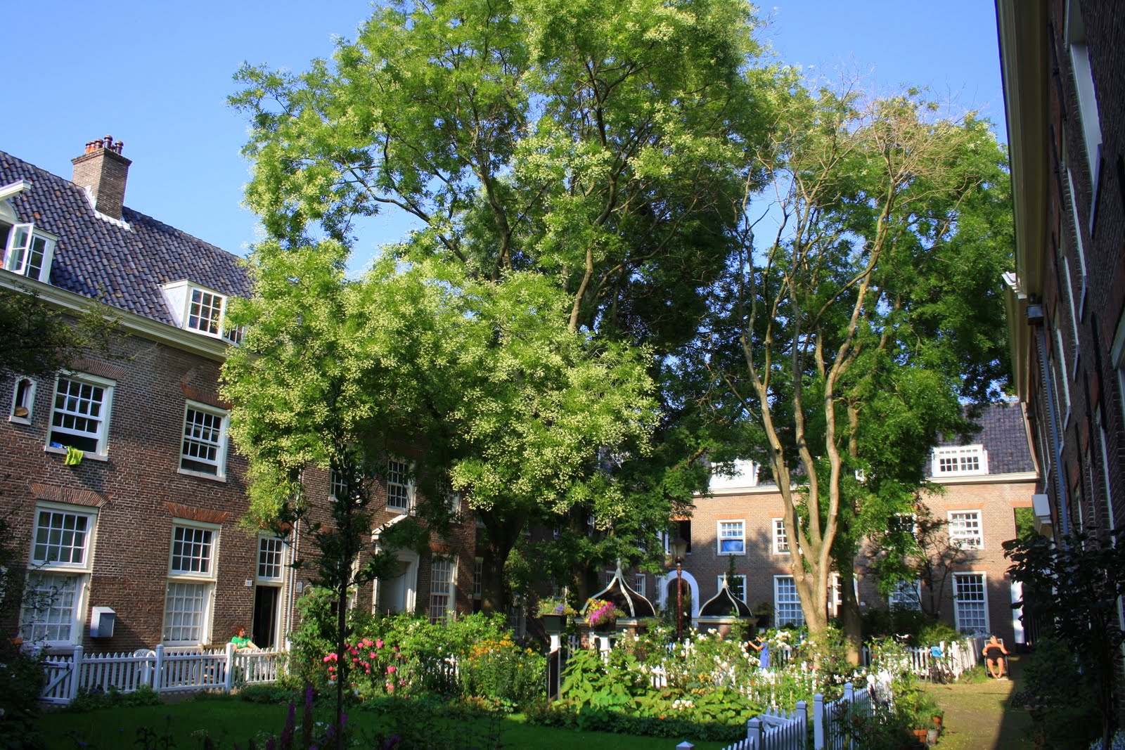 The Karthuizerhof in the Jordaan - one of the largest hofjes, built on the grounds of a former Carthusian monastery.